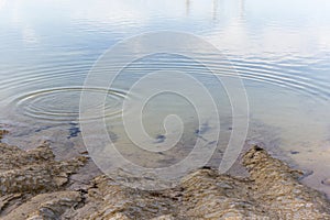 Ripples Making Their Way Across Surface Of Shallow Lake