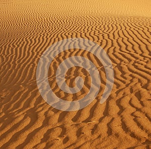 Ripples in the sand