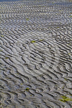 Ripples in the sand on a beach at low tide