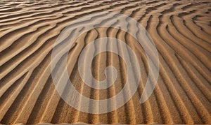 Ripples in the sand created by the wind in a desert