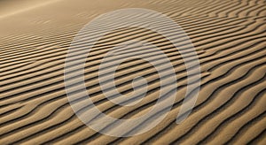 Ripples in sand dunes create a pattern of parallel lines in a desert landscape. Th