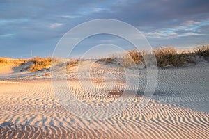 Ripples of Sand at Pea Island Outer Banks North Carolina