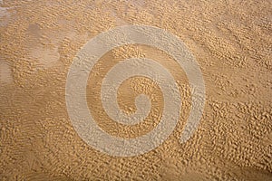 Sand ripples