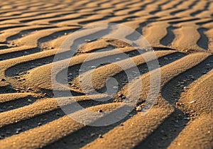 Ripples in the sand, shaped by wind or water, create a mesmerizing