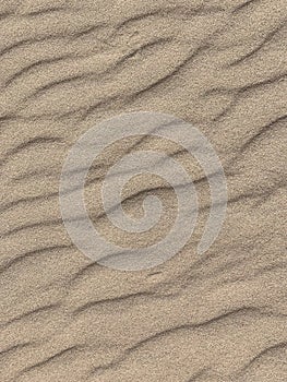 ripples in the sand from wind