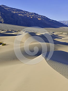 Ripples and Shadows in Sand Dunes, Death Valley, National Park