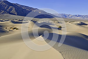 Ripples and Shadows in Sand Dunes, Death Valley, National Park