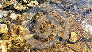 Ripples on the  sparkling and stones