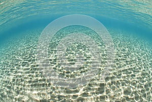 Ripples of sunlight reflected on the sea floor.