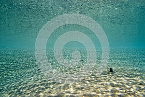 Ripples of sunlight underwater