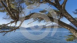 Ripples are visible on the calm surface of the water.