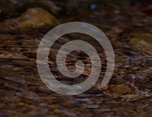 Ripples of water flowing over smooth stones