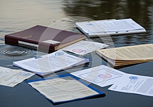 Ripples on the water surface suggest disturbance, adding dynamic