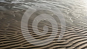 Ripples in wet sand create a dynamic pattern across the image