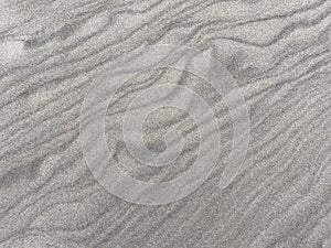 Ripples in wind-blown sand in North Carolina