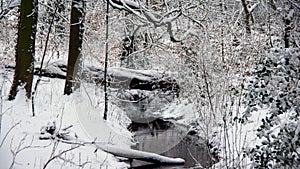Rippling creek in the snow
