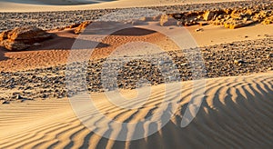 Rocks and stones create a contrasting texture against the smooth