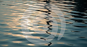 Rippling water surface with sunlight reflecting,