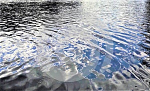 Rippling Water in Weeki Wachee River, Florida