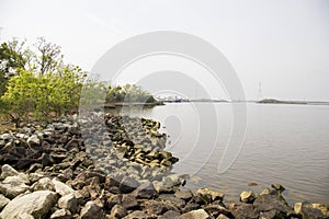 The rippling waters of the Savannah River with large rocks along the banks and lush green trees and plants with ships photo