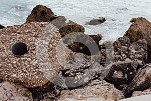 riprap along the coast to help prevent erosion with the ocean in the background. environmental efforts design element photo