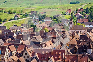 Riquewihr alsatian architecture at springtime with vineyards, Eastern France
