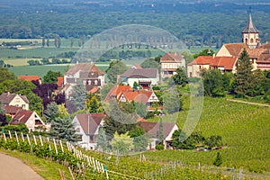 Riquewihr alsatian architecture at springtime with vineyards, Eastern France