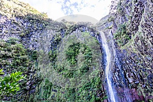 The Risco Waterfall of the island of Madeira on a sunny day