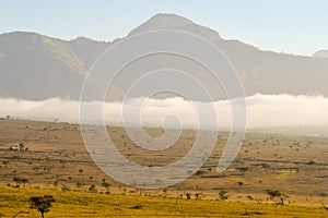 Rise of mist on the savanna and mountains