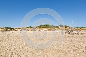 RISERVA FOCE PLATANI