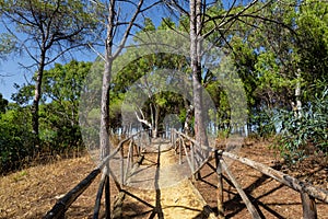 RISERVA FOCE PLATANI