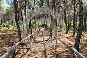 RISERVA FOCE PLATANI