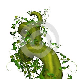Rising Beanstalk photo