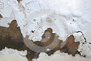 Rising Damp and Peeling Paint on Exterior Wall