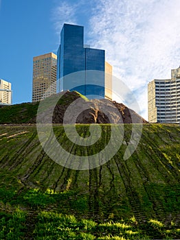 Rising from the earth