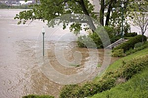 Rising Floodwater on a River photo