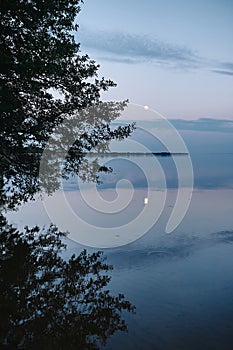 rising full moon over the river, against the background of a tree