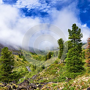 Rising mist over valley of mountain stream