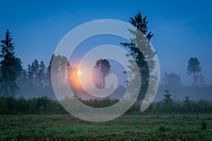 Rising moon over a foggy forest at dusk