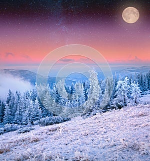 Rising moon over the frosty winter mountains.