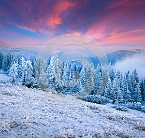 Rising moon over frosty winter mountains.