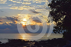 Ascendiendo el sol dorado amanecer nubes en el cielo recubrimiento a través de el mar a contornos de un árbol a piedras isla 