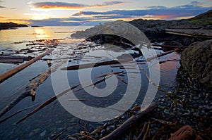 Rising sun lights the distant clouds and nearby driftwood along the coast of southern Saanich Peninsula, Vancouver Island