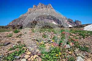 Rising View of Clements Mountain on the Hidden Lake Trail, Glacier National Park, Montana