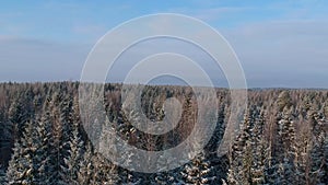 Rising view over snowy winter forest