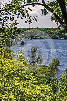 Rising Water in Manistee Lake