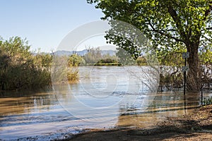 Rising waters of the Colorado River