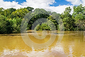 Rising Waters of the Roanoke River