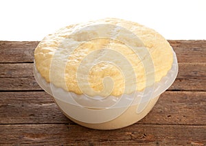 Rising Yeast Dough in bowl