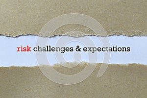 Risk challenges and expectations on white paper